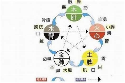 五行补水|五行缺水，喜水的人，如何补水